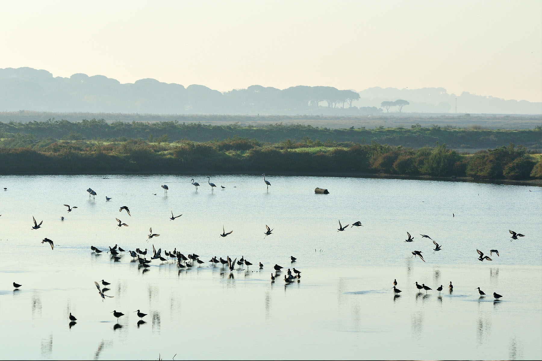 游览萨多河河口自然保护区