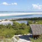 Isla Pájaros, Holbox, México | 鸟岛，奥尔沃克斯岛，墨西哥