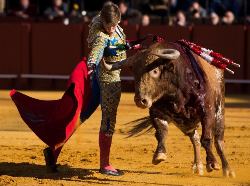 热血来袭 | 2018塞维利亚斗牛赛事安排时间表